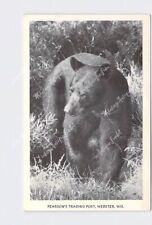 PPC Postcard WI Wisconsin Webster Pearson'S Trading Post Black Bear picture