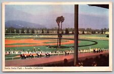 Santa Anita Park Arcadia California Palms Horses Animals Tracks Vintage Postcard picture