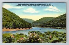 Williamsport PA-Pennsylvania, Bucktail Trail River & Mt Scenery Vintage Postcard picture