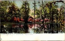 Antique Charleston SC Across the Lake Magnolia Gardens Tuck's Postcard picture