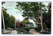 1912 Fox Tail Curve on The Portland Div. Yarmouth, Maine ME Antique Postcard picture