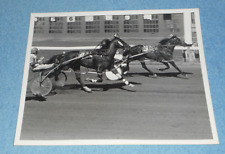 1980 Harness Racing Press Photo Horse 