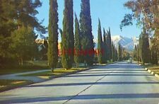 BANNING, CA. SAN GORGONIO AVE. WITH MT. GORGONIO IN THE BACKGROUND picture