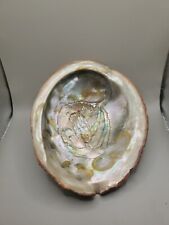 Abalone Shell Large Red Dish shaped Lustre Irredescent Shiny 6 x 7 READ picture