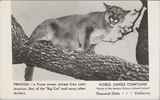 RPPC World Jungle Compound Princess Puma Thousand Oaks CA photo postcard G850 picture
