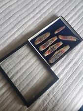 CASE XX lot of 6 pocket knives all unused Uncarried Unsharpened  Cranberry Bone  picture