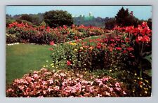 Allentown PA-Pennsylvania, Rose Gardens, Antique, Vintage Souvenir Postcard picture