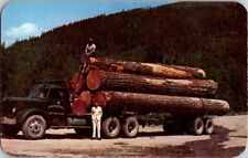 Postcard H.M. Randall of Darrington WA Washington Trucking Logs to Mills   L-137 picture