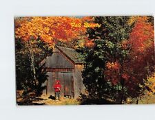 Postcard Fall Beauty Greetings from Halcott Center New York USA picture