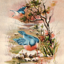 Vintage c.1922 Postcard Christmas Blue Birds Brunswick Ohio Landscape-Hol-28 picture