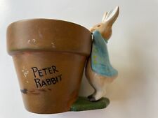 Teleflora 2000 Peter Rabbit Flower Pot picture