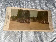 Antique STEREOVIEW Card Photo: Tourists Riding on Lower Canon Trail picture