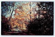 Great Barrington Massachusetts Postcard Gould Farm The Topside Road c1960s Trees picture