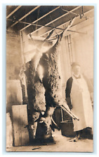 Hanging Deer Hunting Butcher View - 1891 Interstate Trade Box - RPPC Trimmed picture