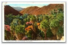 Palm Canyon Palm Springs California CA UNP WB Postcard S24 picture