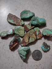 Patagonia Turquoise from Arizona , 100 grams of stabilized  nuggets picture