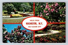 Rochester NY-New York, Lilacs, Banner General Greetings, Vintage Postcard picture