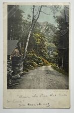Vintage Postcard, Cold Spring, Dixville Notch, New Hampshire, Posted 1905 picture