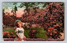 CA-California, Rose Arbor in Midwinter California, Antique Vintage Postcard picture