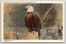 Bald Eagle National Zoological Park Washington DC Postcard Linen UNP picture