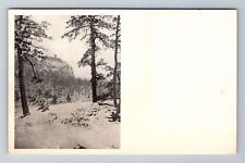 Mohonk Lake NY-New York, View Of Woods Area, Antique, Vintage Souvenir Postcard picture