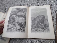 RARE 1899 - 1901 RUSSIAN PICTURE BOOK ZOOLOGY ATLAS MAMMALS BIRDS INVERTEBRATE  picture