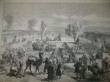 Antique 1874 Captain Orde Brown's Party near Cairo Egypt Wood Engraving PRINT picture