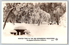 RPPC Postcard~ Winter Time~ San Bernardino Mountains~ Playland Of Southern CA picture