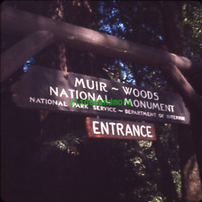 1965 Original Slide - Muir Woods National Monument Entrance Sign - Redwoods - CA picture