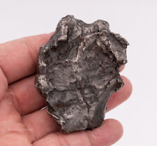 Sikhote-Alin Meteorite  310g                 0377 picture