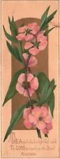 1880s-90s Blooming Pink Flowers Angel Robed In Light Hath The Lord Trade Card picture