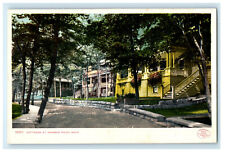 c1905s Cottages at Harbor Point Michigan MI Antique Unposted Postcard picture