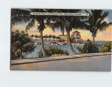 Postcard Tropical Scene of Memorial Pier, Bradenton, Florida picture