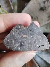 NEW Lunar Achondrite Meteorite Laayoune 002 15.9g picture