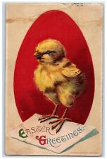 c1910's Easter Greetings Big Egg Chick Embossed Posted Antique Postcard picture
