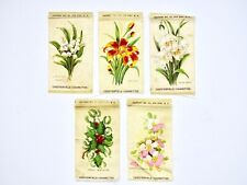 Vintage Chesterfield Tobacco Cigarette Silks (5 Flowers) picture