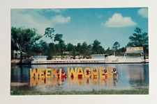 Weeki Wachee Spring of the Mermaids Florida Attraction Dexter Postcard 1950s picture