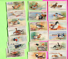 1927 JOHN PLAYER & SONS CIGARETTES GAME BIRDS AND WILD FOWL 25 TOBACCO CARD LOT picture
