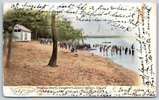 Postcard Bathing Beach Campbell's Island, People, Moline Illinois Posted 1907 picture