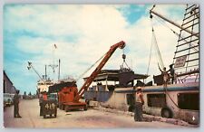 Postcard Puerto Rico Ponce Greetings Unloading Tuna Fish  Fishing Fleet Unposted picture