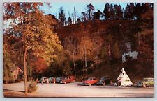 Indian Caverns, Teepee, 1940s Cars, Spruce Creek, Pennsylvania Postcard S4-467 picture