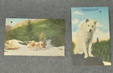 2 Ed Clark’s Eskoimo Sled Dog Ranch Ticket Postcards Kingikok & Sled Dog Team picture