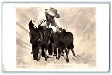 Arizona AZ Postcard RPPC Photo Little Wild Horses From Grand Canyon c1940's picture