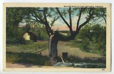 WILLOW SPOUT AT FORT DEFIANCE, VIRGINIA postcard A2 picture