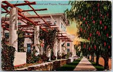 1912 Maryland And Pergola Pasadena California CA Vines Trees Posted Postcard picture