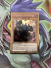 PGL3-EN045 Cir, Malebranche Of The Burning Abyss Gold Rare 1st Edition NM Yugioh picture