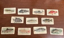 11 Card Lot 1910 Fish Series SWEET CAPORAL T58 Tobacco Cards picture