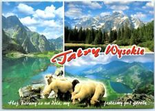 Postcard - High Tatra Mountains, Slovakia picture