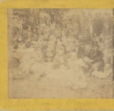 Bull Family Picnic Group Genre Stereoview picture