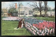 Postcard Harrisburg PA - Young Girl Hyacinth Flowers Conservatory Capital Park picture